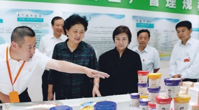 原中共中央政治局委員、國務(wù)院副總理劉延?xùn)|視察我公司